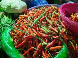 Di Rapimnas KPPU, Ganjar Bicara Stabilkan Harga Cabai-Bawang Merah