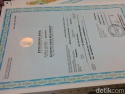 Nomor Akta Kelahiran yang Mana? Cek Sebelum Daftarkan Anak Sekolah!
