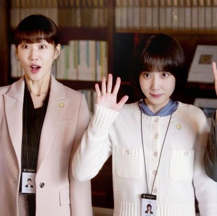 Extraordinary Attorney Woo mengisahkan perjalanan Woo Young Woo (Park Eun Bin), seorang pengacara pemula dengan autism spectrum disorder (ASD). Ia berhasil bergabung di salah satu firma hukum terbesar, meski harus menghadapi prasangka dari lingkungan sekitarnya.