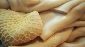 Viral Cacing di Babat Sapi, Masih Aman Dimakan?
