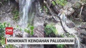 VIDEO: Menikmati Keindahan Paludarium