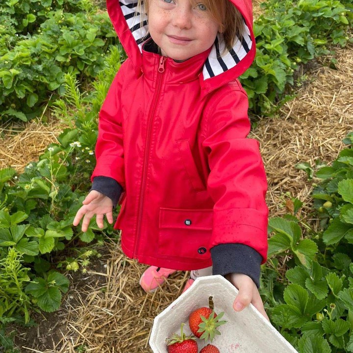 <p>Mereka berkunjung ke kebun stroberi di Jerman. Lalu menikmati stroberi yang dipetiknya. <em>“Connecting with nature and spending time in the countryside has been so educational and exciting for the girls!,”</em> tulisnya sebagai <em>caption.</em> (Foto:Instagram @marissal)</p>