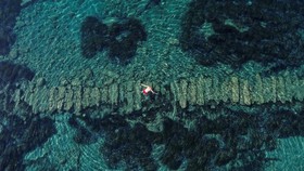 FOTO: Keindahan Taman Arkeologi Bawah Laut Pertama Siprus