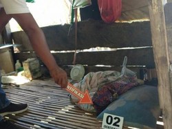 Duda di Boro Bima Tewas Tenggak Pestisida