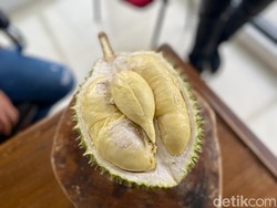 Durian Tai Babi Harganya Rp 600 Ribu per Kilogram, Seperti Ini Rasanya