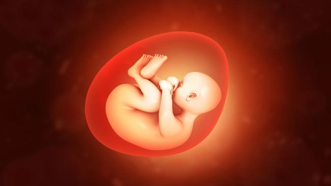Kisah Huang Yijun, Perempuan China yang Simpan Bayi Batu di Tubuh hingga Berusia 92 Th