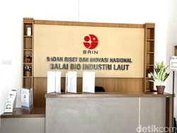 Ada 500 Formasi CPNS BRIN 2023, Ini Cara Daftar dan Syaratnya