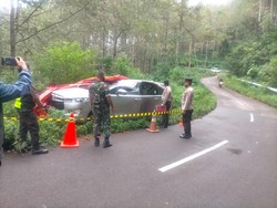 Tak Ada Angin dan Hujan, Pohon Tumbang Timpa Mobil-Pengemudi Tewas
