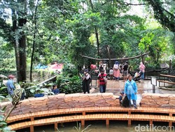 Wajib Vaksin Booster Bikin Khawatir Manajemen Bandung Zoo