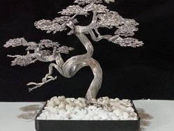 Cuan! Mahasiswa di Buleleng Sulap Kawat Aluminium Jadi Miniatur Bonsai