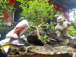 Seniman Bali Kreasikan Bonsai Mini dengan Patung Hanoman
