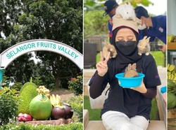 Bukan Wahana Permainan, Taman Bermain Ini Isinya Buffet Buah yang Enak