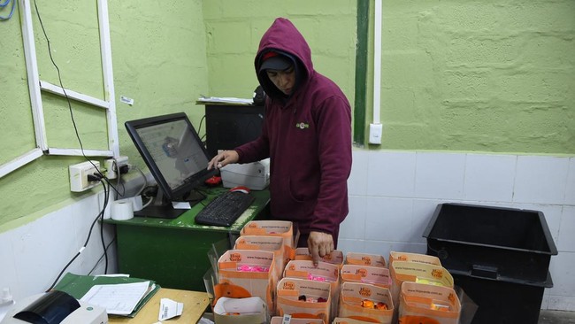 FOTO: Industri Mawar Ekuador Bertahan di Tengah Pandemi dan Perang