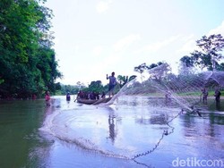 Serunya Tradisi Bongkar Lubuk Larangan di Festival Subayang Kampar
