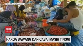 video: Harga Bawang dan Cabai Masih Tinggi