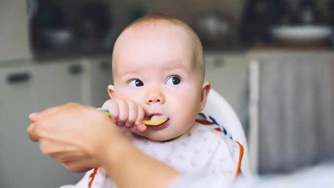10 Resep MPASI Terbaik 6 Bulan Pertama Menu Lengkap dan Camilan Kaya