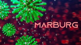 5 Orang Tewas Gara-gara Virus Marburg Tanzania, Apa Saja Gejalanya?