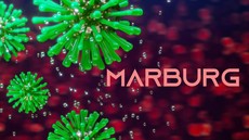 Bahaya Virus Marburg, Sulit Dideteksi hingga Picu Kematian