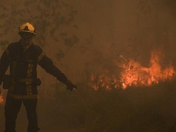 Panas Bak Kiamat di Eropa, Ladang Terbakar-Puluhan Ribu Orang Diungsikan