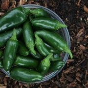 Bantu Turunkan Berat Badan, Ini 6 Manfaat Jalapeno yang Masih Jarang Diketahui