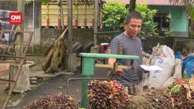 VIDEO: Zulhas Targetkan Harga TBS Sawit di Petani Rp2.400 Per Kg