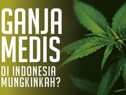 Tolak Legalisasi Ganja Medis, MK Ungkap Alasannya