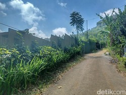 Hasil Temuan BBKSDA Jabar soal Penampakan Macan di Cicalengka