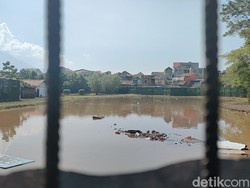 Penampakan Kolam Raksasa Kandang Arapaima yang Lepas di Garut