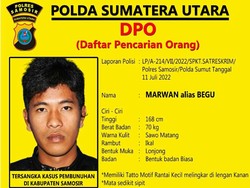 Masuk Daftar DPO, Polisi Sebar Wajah Pembunuh Pasutri di Samosir