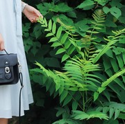 Rekomendasi 3 Tas Desainer untuk ke Kantor yang Bikin Penampilan Makin Trendy