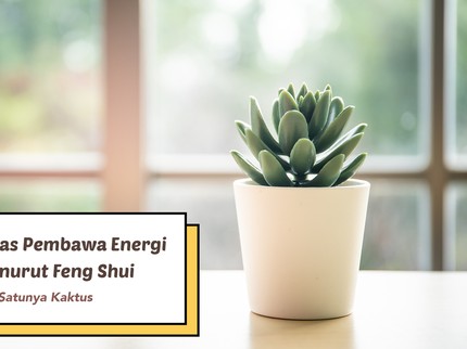 5 Tanaman Hias Pembawa Energi Buruk Menurut Feng Shui, Salah Satunya Kaktus