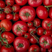 5 Manfaat Mengonsumsi Buah Tomat yang Selalu Ada di Dapur, Salah Satunya Perbaiki Kondisi Kulit!