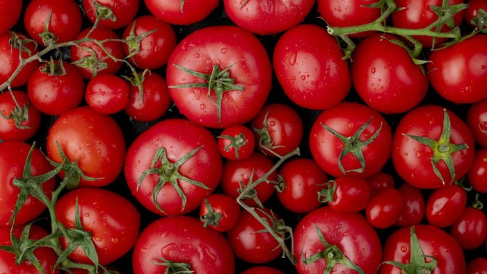 5 Manfaat Mengonsumsi Buah Tomat yang Selalu Ada di Dapur, Salah Satunya Perbaiki Kondisi Kulit!