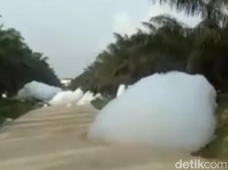 Viral Awan Berjatuhan di Kebun Sawit Riau, BMKG Duga Limbah Pabrik