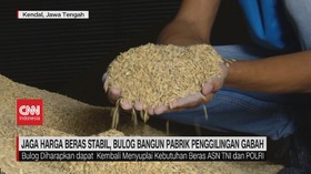 VIDEO: Jaga Harga Beras Stabil, Bulog Bangun Pabrik Penggilingan Gabah