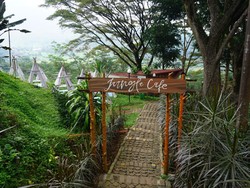 Hits Banget Nih! The Jungle Cafe, Tempat Healing yang Instagramable