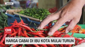 VIDEO: Harga Cabai Mulai Turun