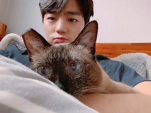Cat Lovers Merapat, Yuk Mengenal 3 Kucing Peliharaan Aktor Tampan Kim Min Kyu!
