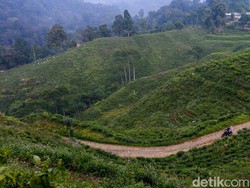 Tour Malasari 2025: Saat Alam, Budaya dan Olahraga Bertemu