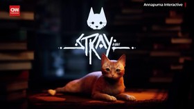 VIDEO: Menjajal Kehidupan Sebagai Kucing di Gim Stray