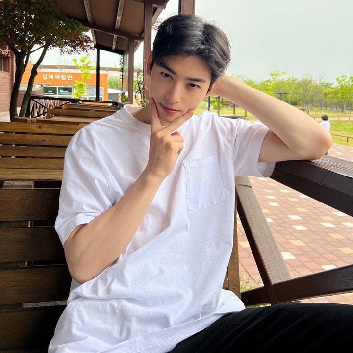 <p>Selain menjalani karier sebagai penyanyi, Cha Eun Woo juga berakting di berbagai judul drama, salah satunya <em>True Beauty</em>. (Foto: Instagram @eunwo.o_c)<br /><br /><br /></p>