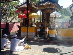 Tumpek Krulut di Pura Griya Perak Denpasar, Pemedek Haturkan Upakara
