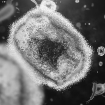 Waspada! Cacar Monyet Virusnya Bisa Masuk ke Otak & Sebabkan Kematian