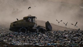 FOTO: Kala Bangau 'Malas' Migrasi ke Afrika, Pilih Sampah Spanyol