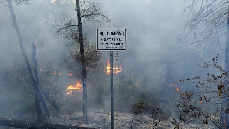 Penampakan Kobaran Api yang Bumi Hanguskan Hutan California - Foto 3