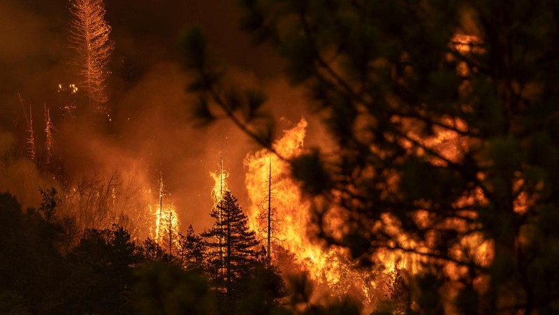 Penampakan Kobaran Api yang Bumi Hanguskan Hutan California - Foto 3