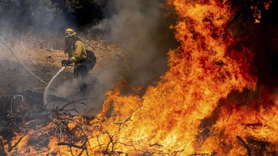 img-title Kebakaran Hutan California: 2 Tewas, Ribuan Warga Buru-buru Evakuasi