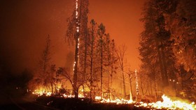 FOTO: Gelombang Panas, Merah Api Hanguskan Hutan di California