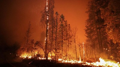 img-title FOTO: Gelombang Panas, Merah Api Hanguskan Hutan di California