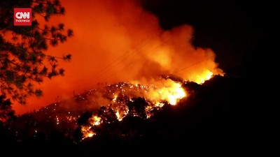 VIDEO: Kebakaran Hutan California Hanguskan 6 Ribu Hektare Lahan